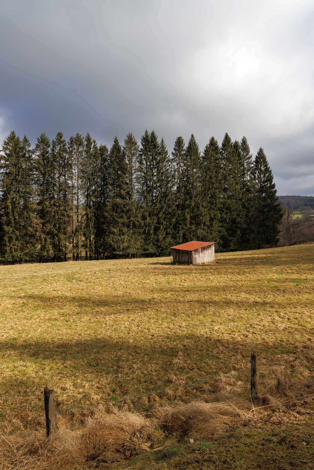 Weide in Anloy met een rij sparren onder een bewolkte hemel
