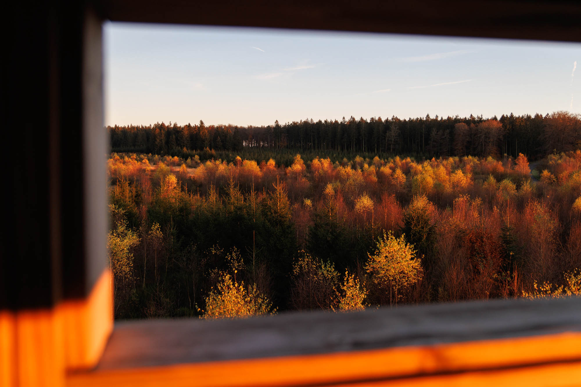 Herfst op het Tailles plateau in Manhay