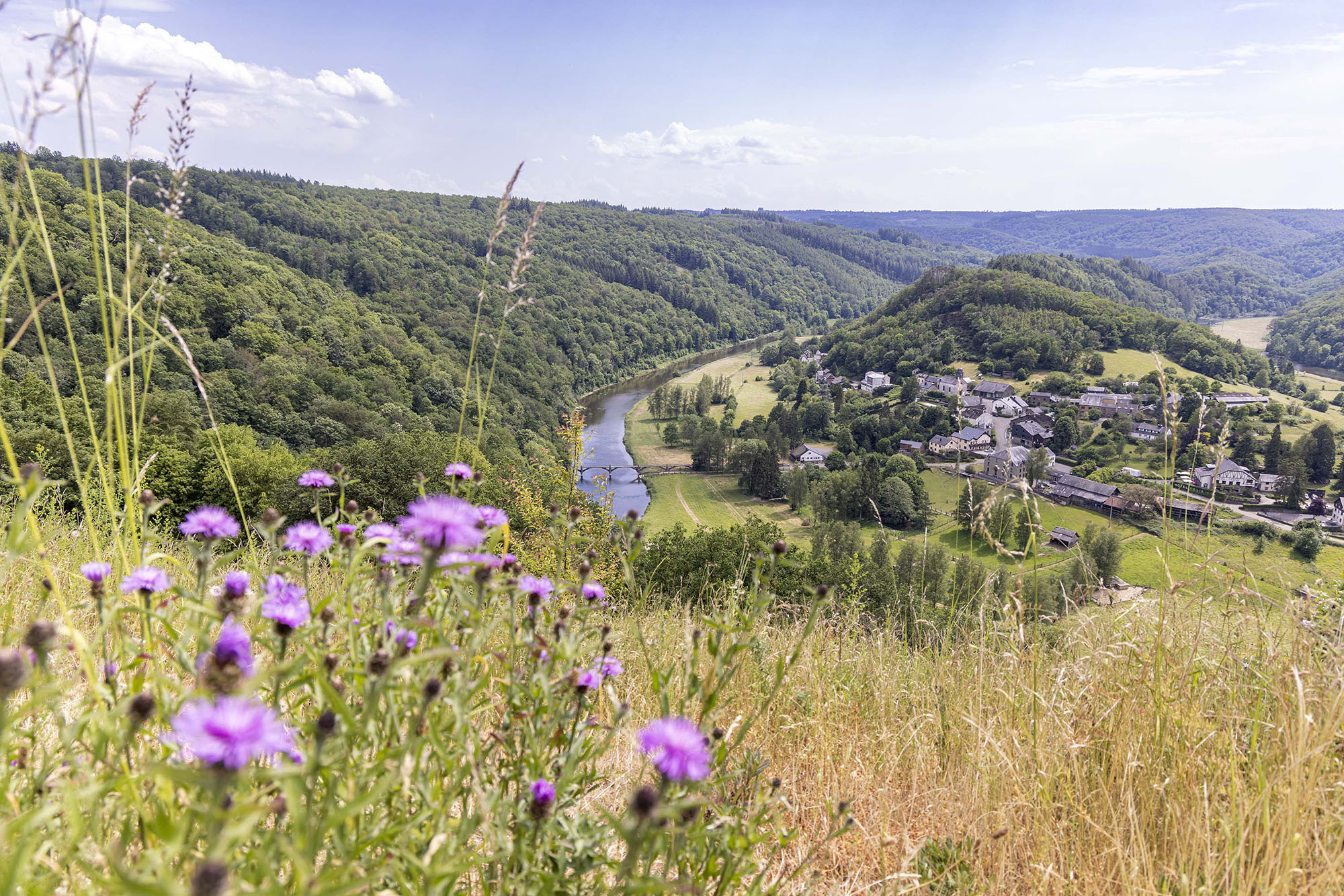 Uitzichtpunt van Frahan in de lente