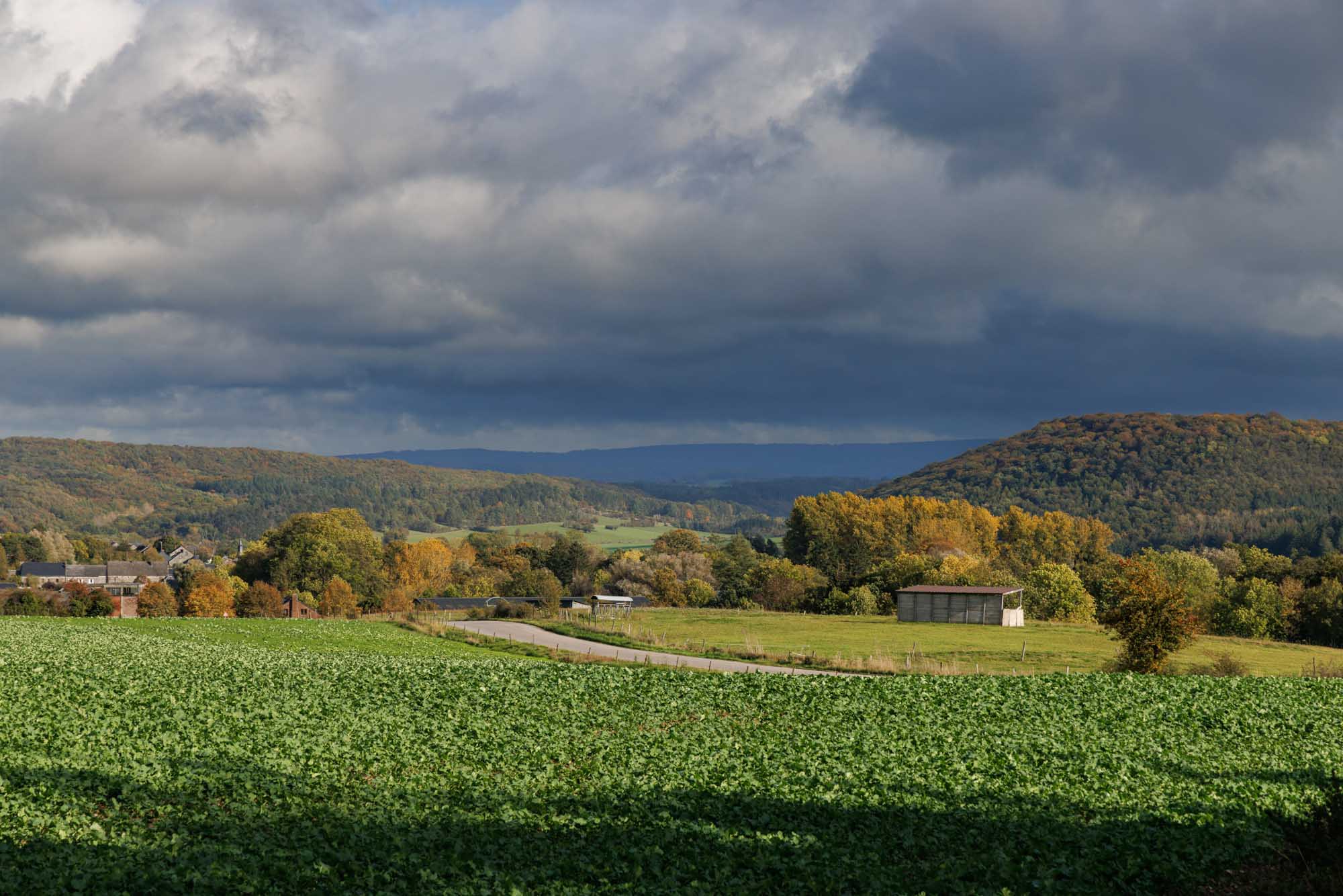 Landschap rond Ave-et-Auffe in de herfst