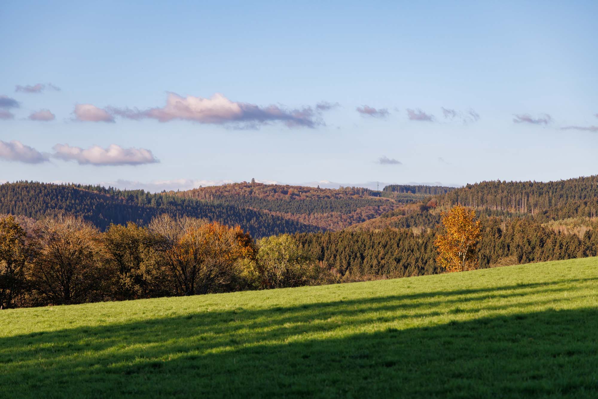 Herfstkleuren in de bossen rond Bérismenil