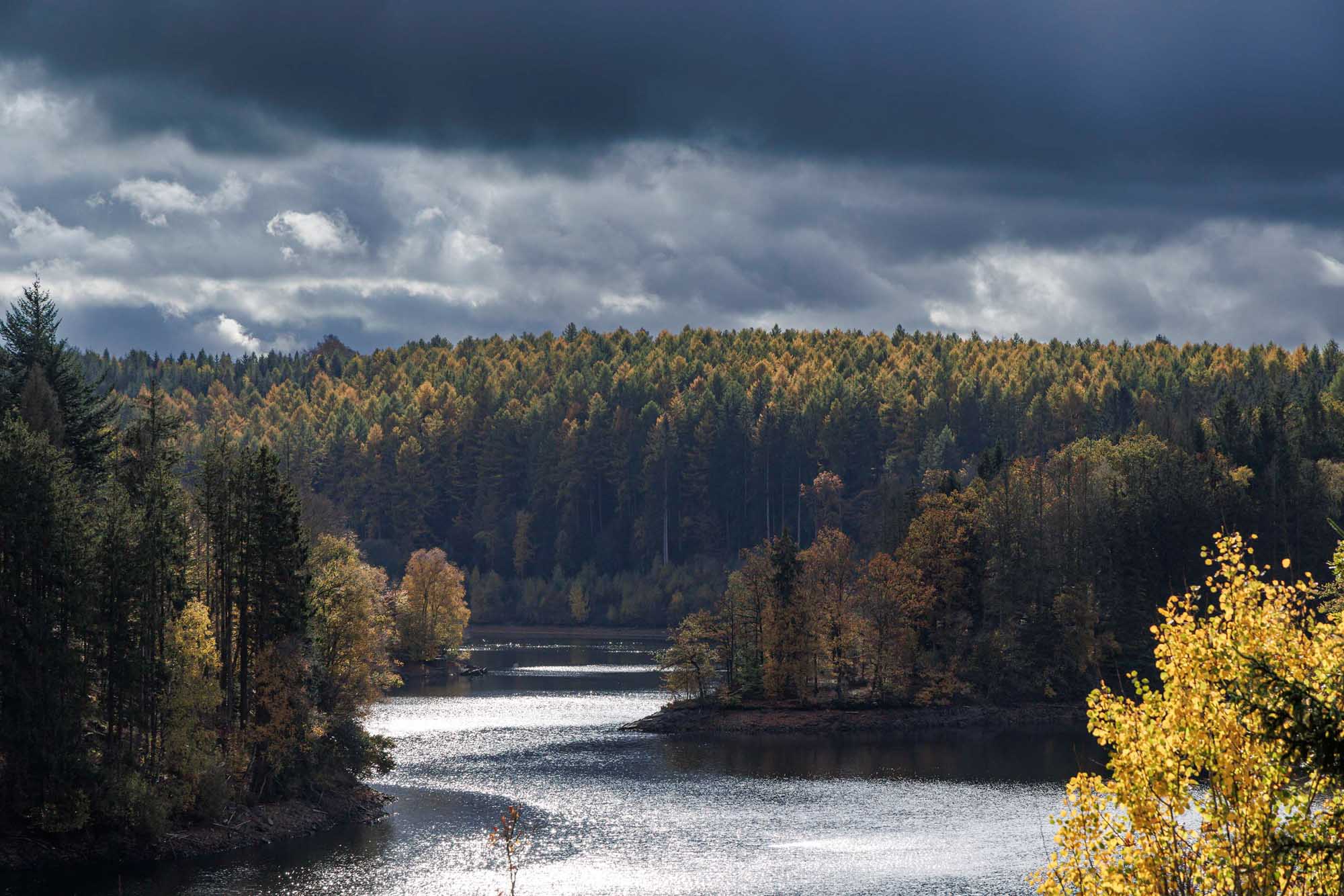 Het meer van Robertville in de herfst