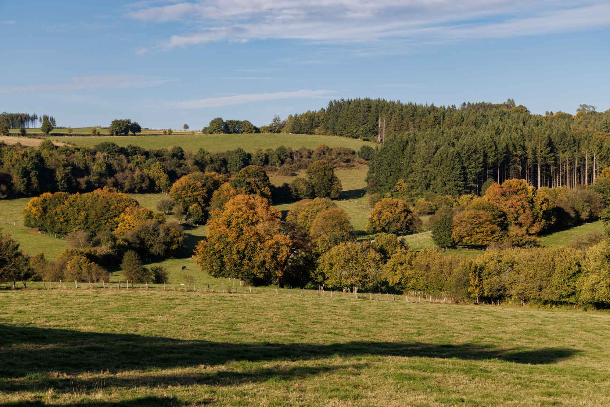Mont met glooiende weiden, herfstkleuren en bossen in de Ardennen.