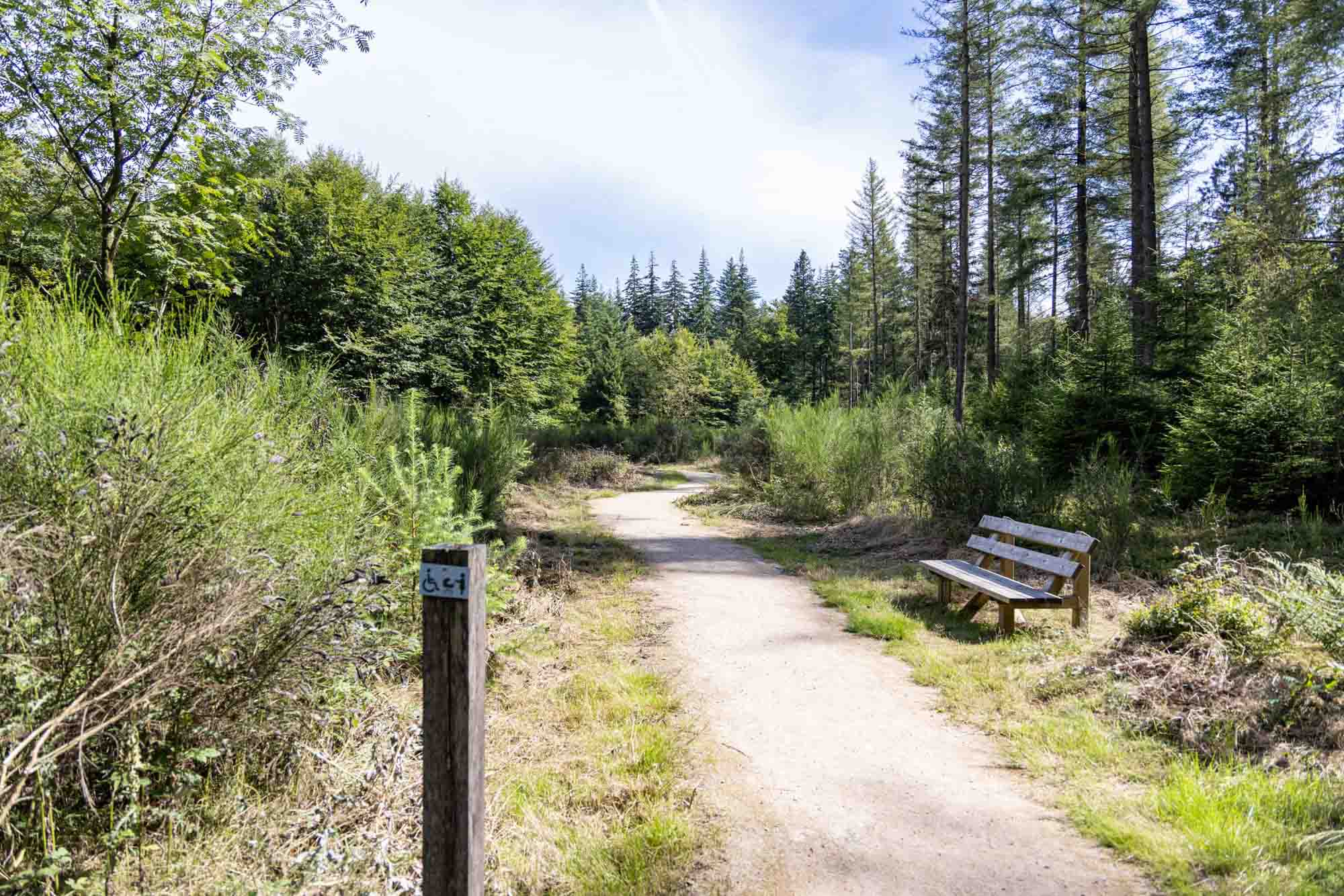Het zintuigenpad van Bechefa op de hoogten van Vielsalm