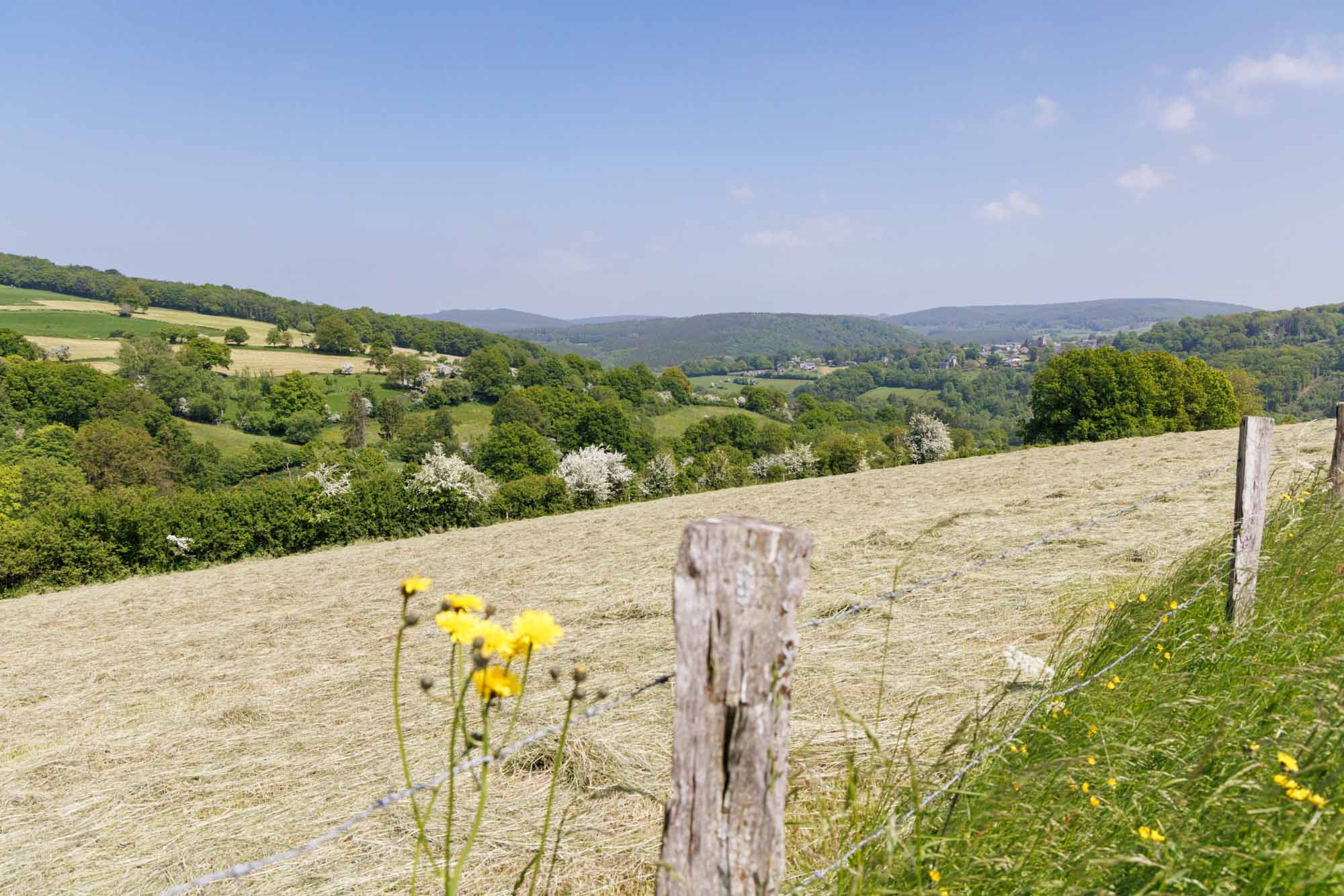 Uitzicht op het platteland rond het dorp Fanzel in de gemeente Erezée