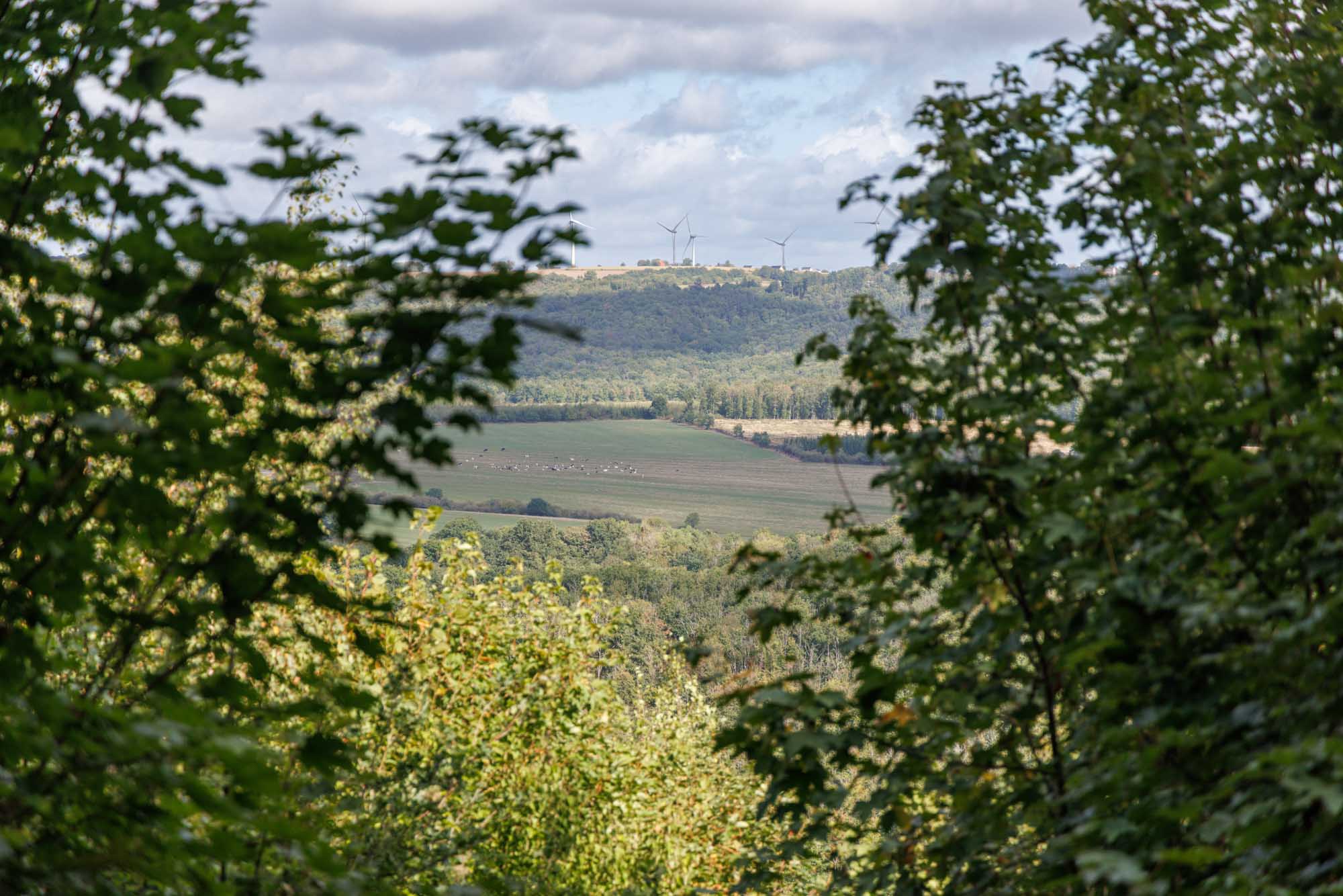 Baronville gezien door het bladerdek met glooiende velden en windturbines in de verte