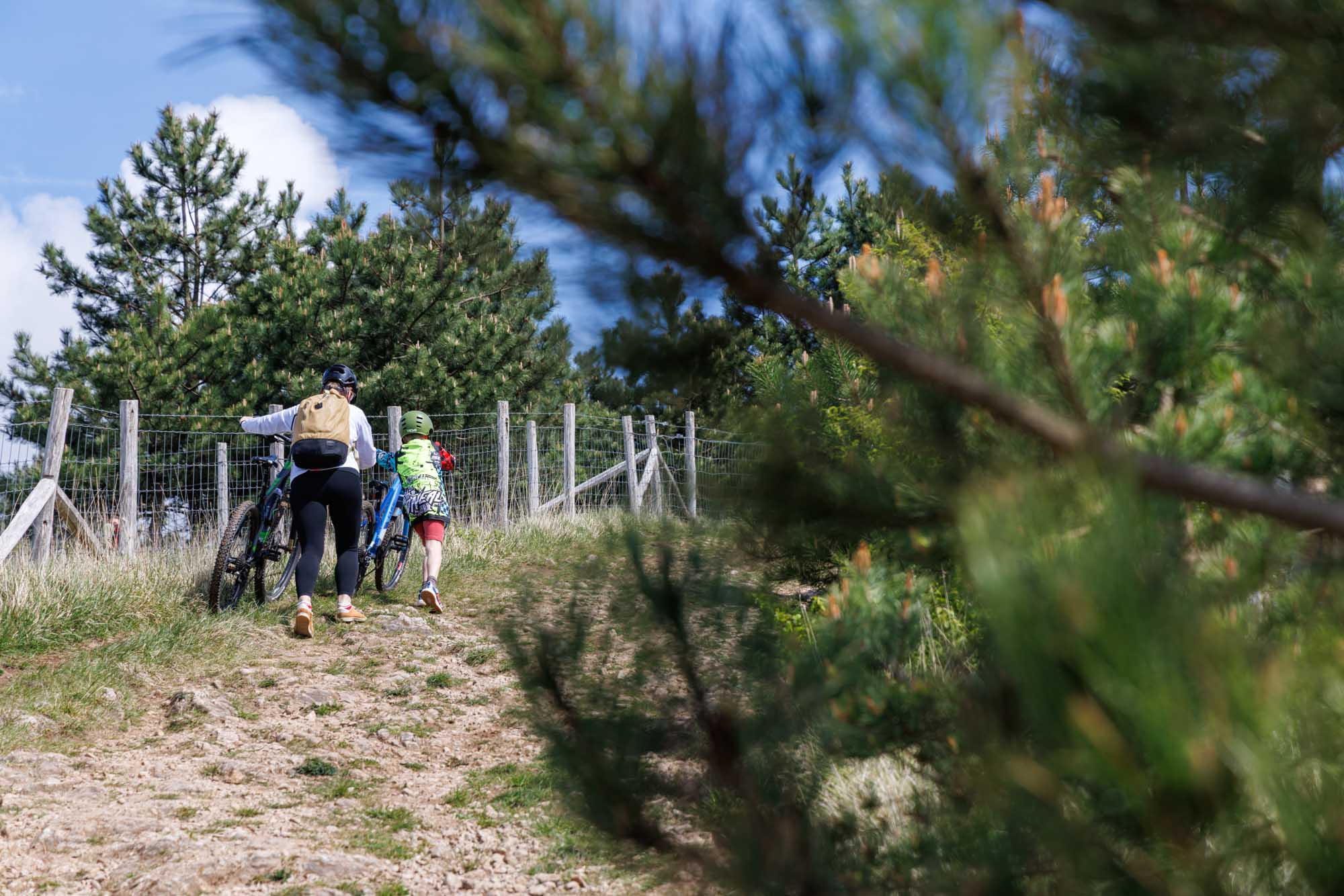 Fietsers duwen hun fiets in de Monts des Pins bij Barvaux-sur-Ourthe