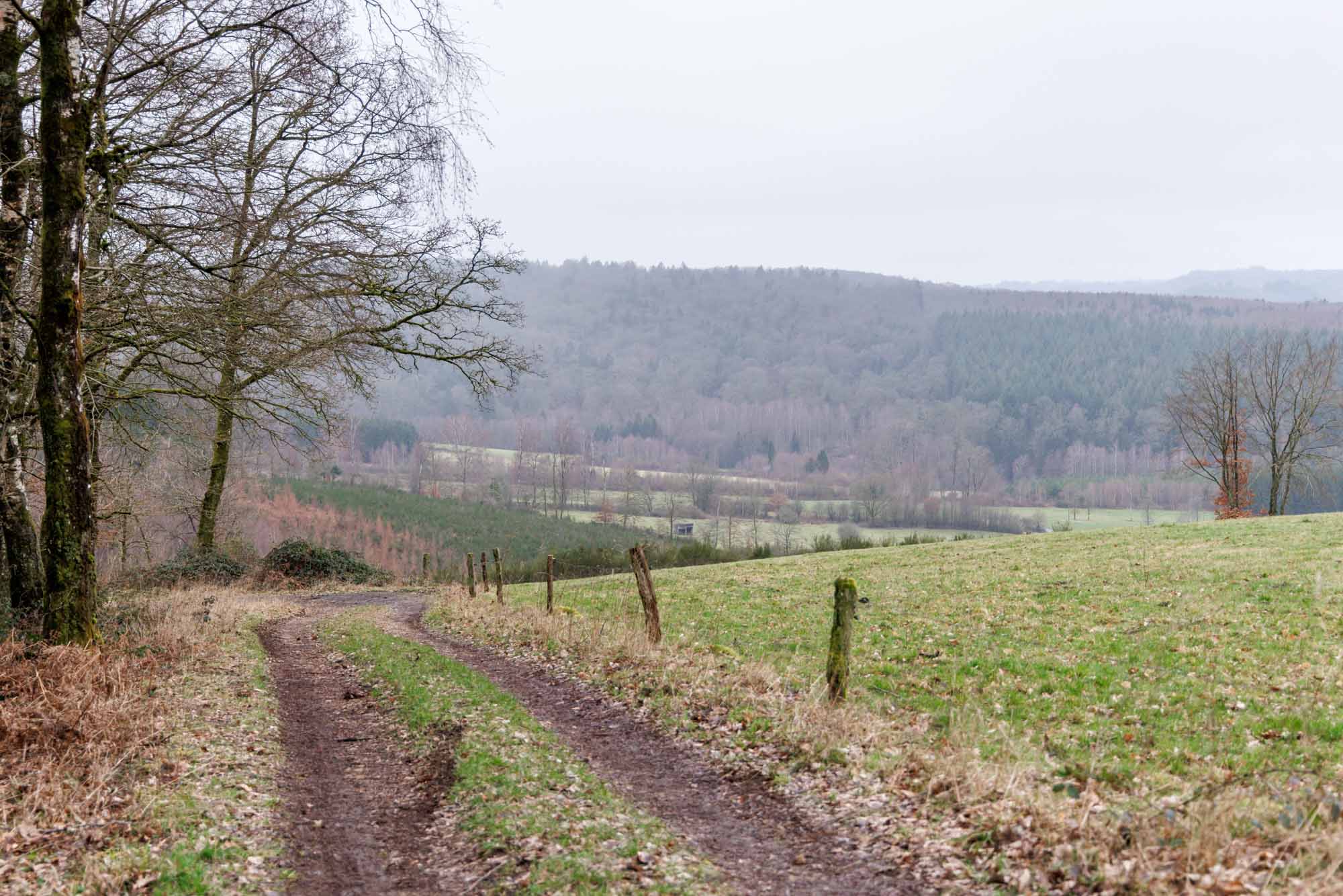 Landelijk pad in Mortehan tussen weide en bos in een Ardens landschap