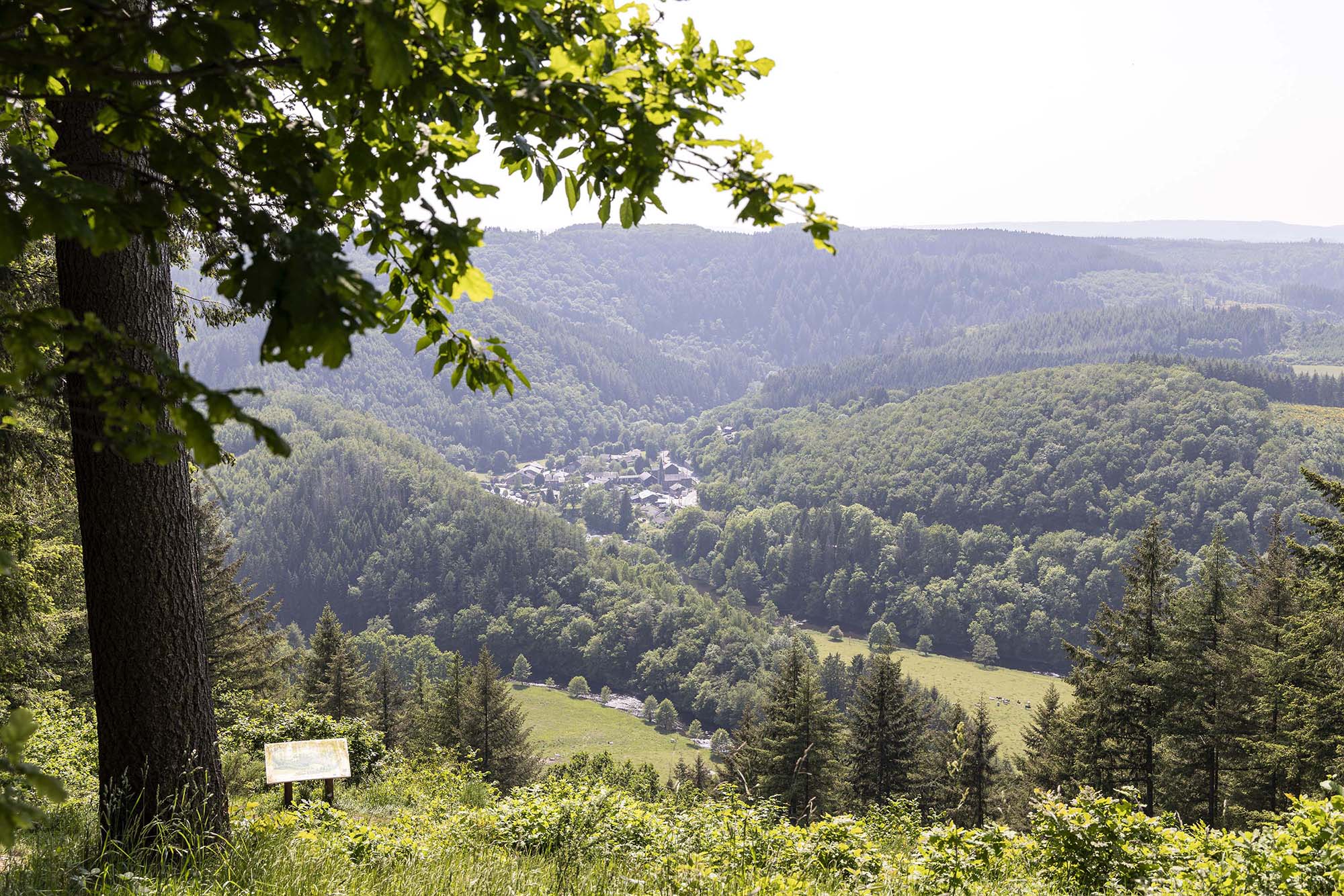 Uitzicht vanaf Les Crestelles op een beboste Ardense vallei met een dorp in de verte.
