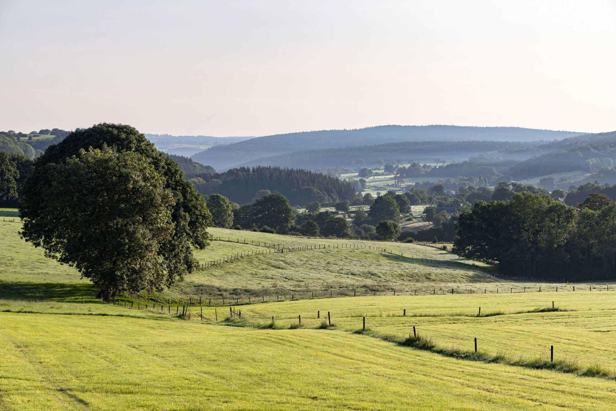 Uitzicht op het platteland vanuit het dorp Hautregard