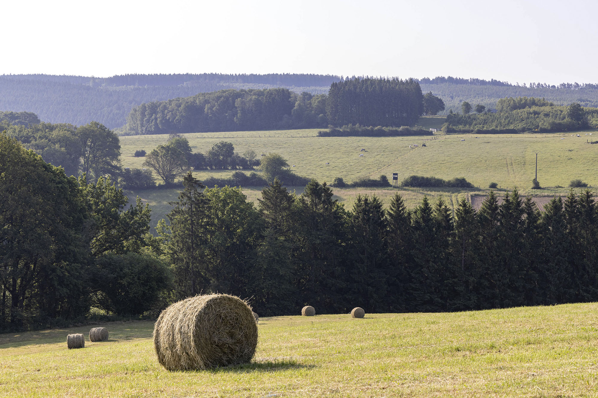 Uitzicht op het platteland van Erezée met hooibalen