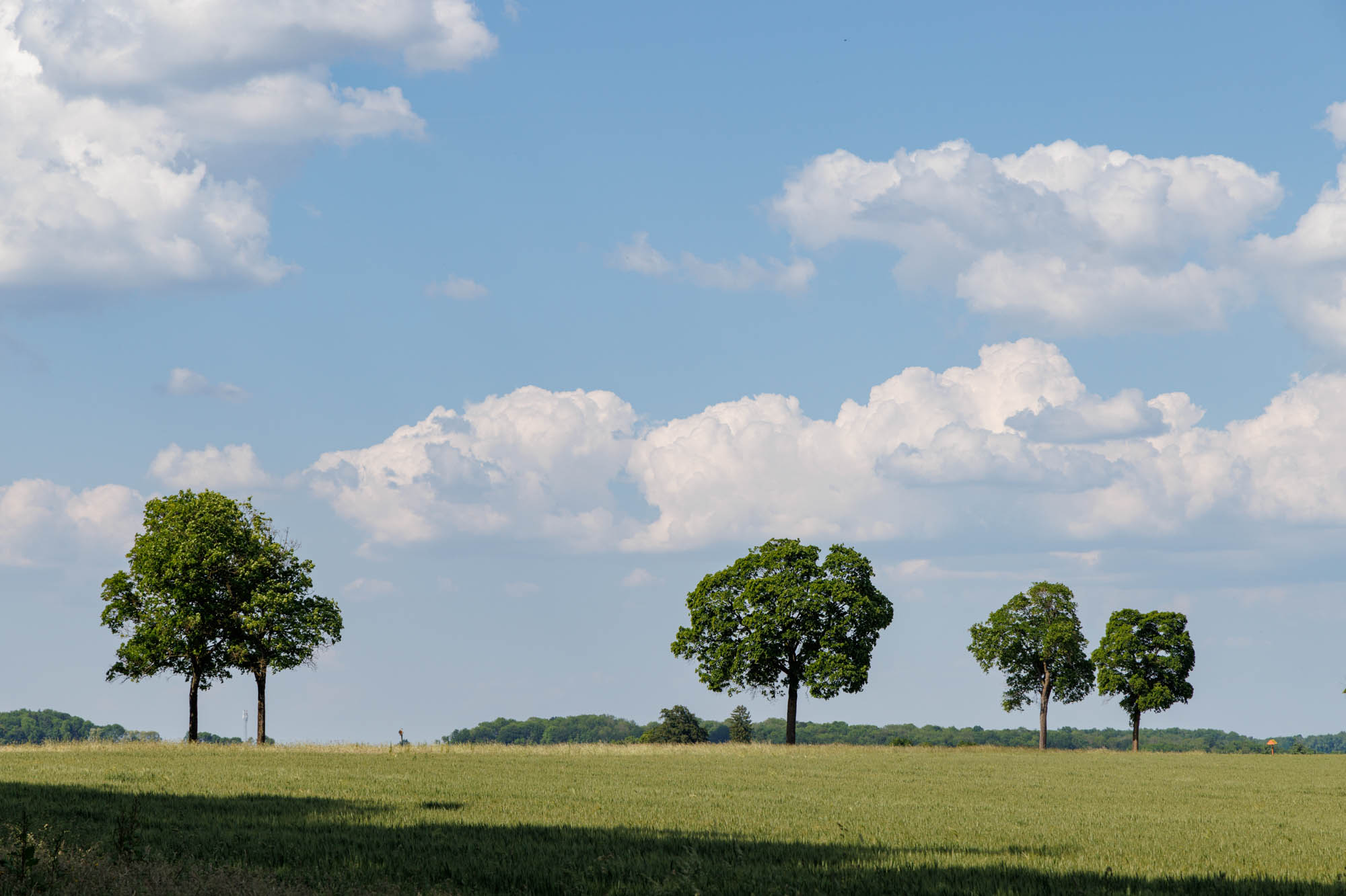 Condruz campagne rond Havelange