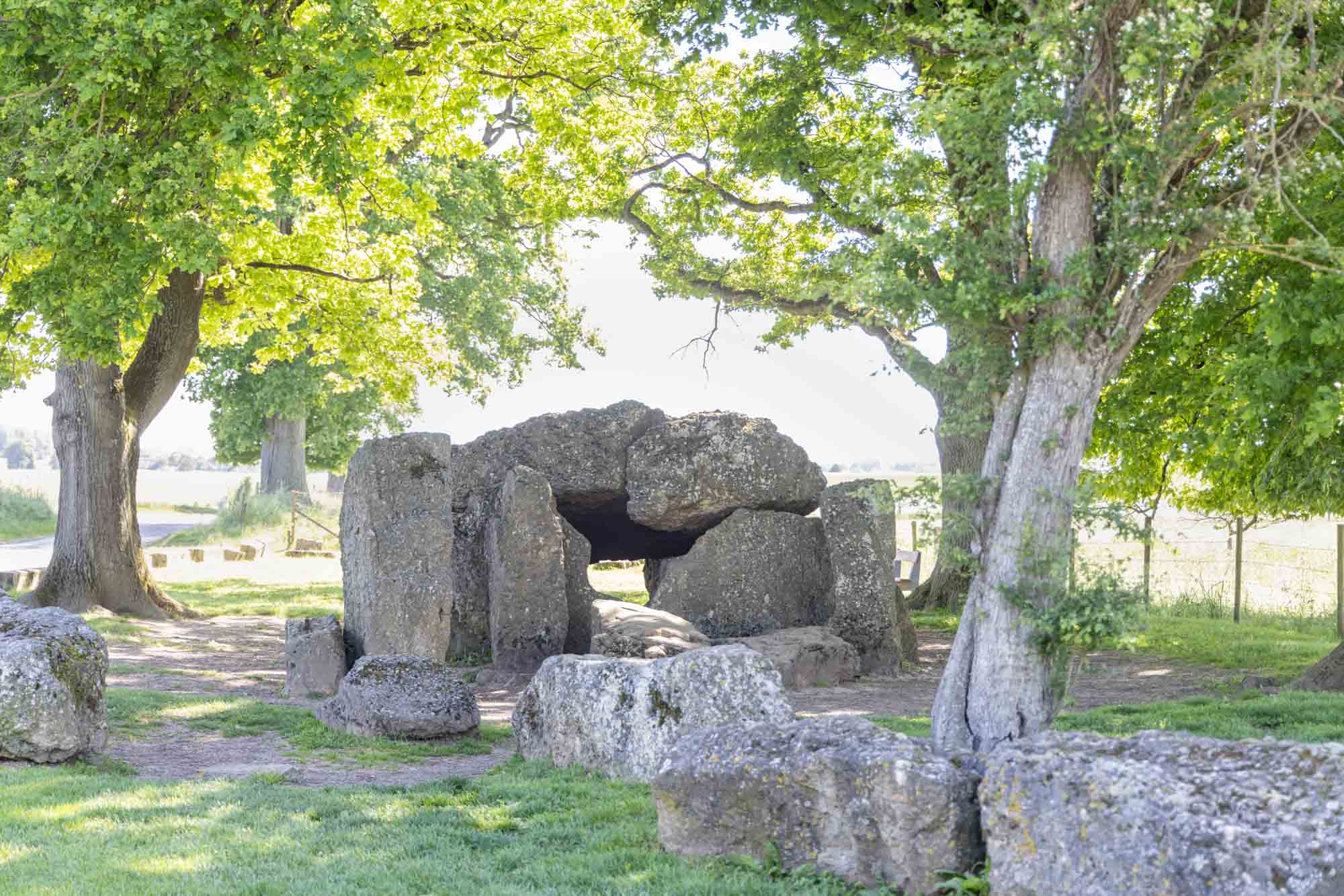 Dolmens van Wéris omringd door bomen nabij Barvaux-sur-Ourthe