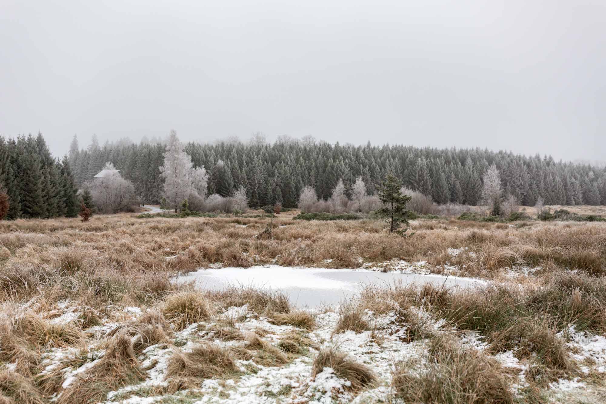 Fagne tussen de Tour de Priesse en “Le Cimetière des Russes” in Mochamps