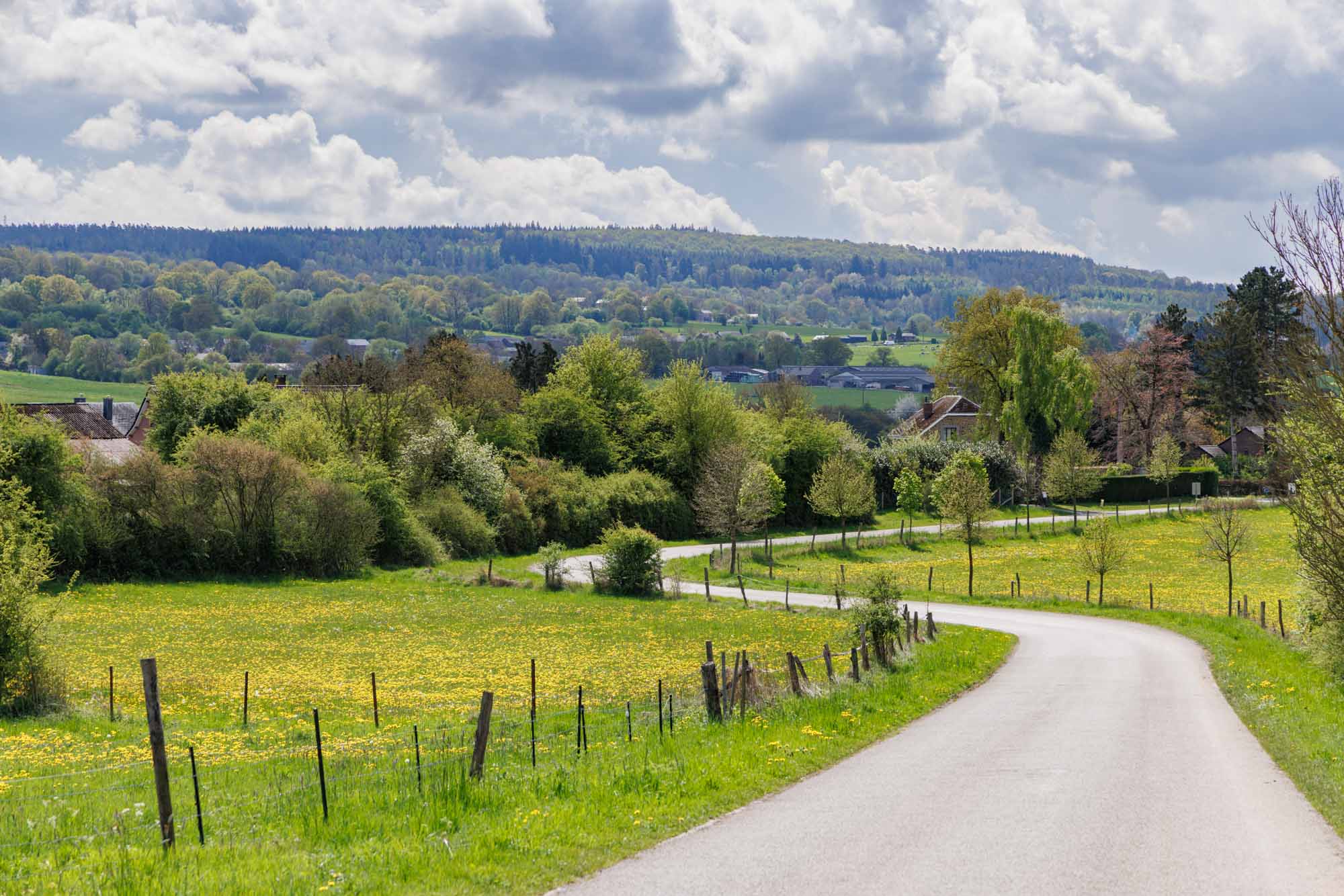 Landweg naar het kleine dorpje Tour, vlakbij Barvaux-sur-Ourthe