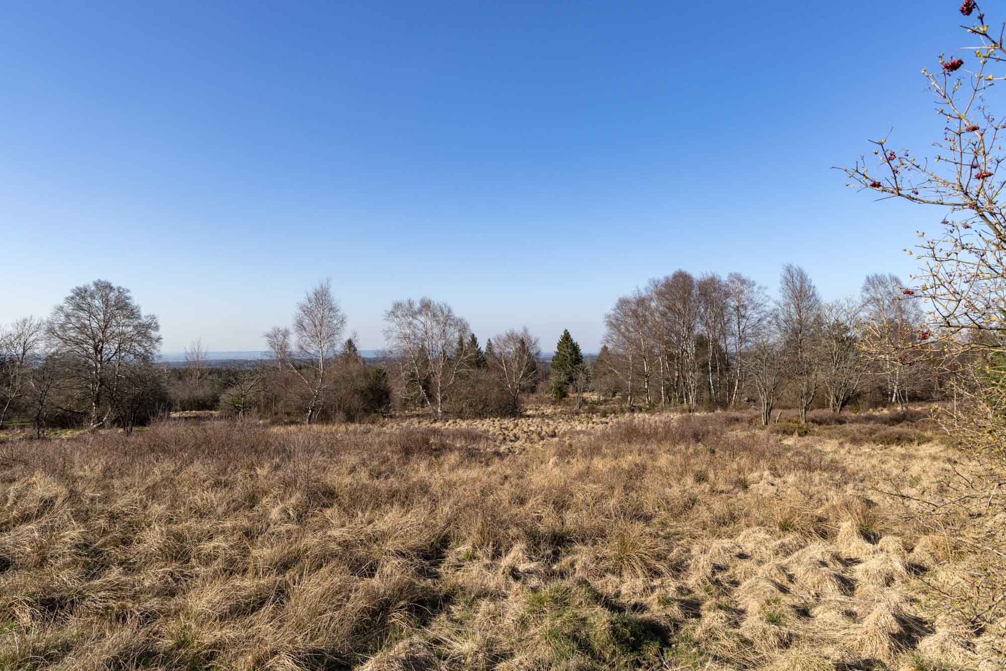 Platteland bij het meer van Gileppe