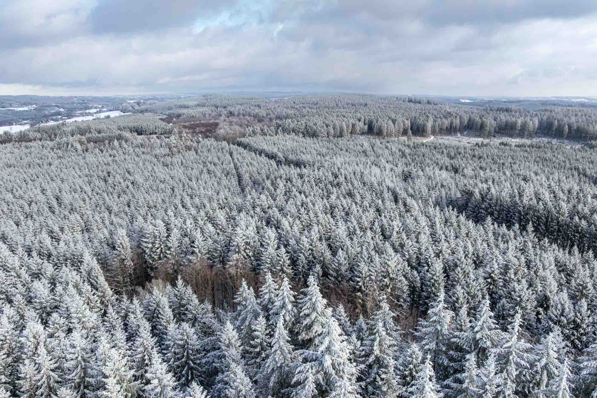 Besneeuwde tussen Stavelot en Francorchamps