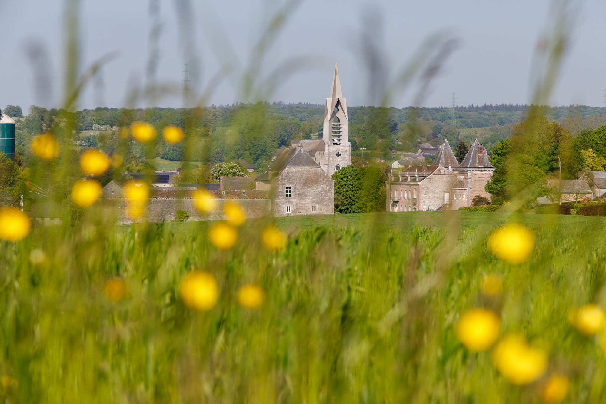 Lentezicht op Ferrières met bloemen op de voorgrond