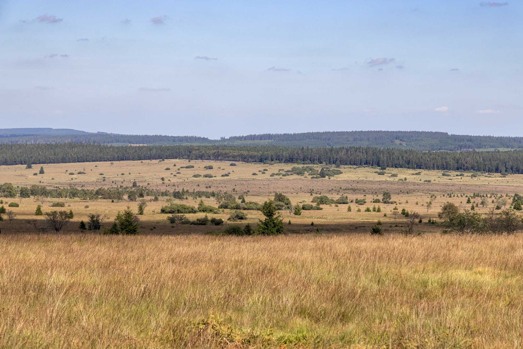 Panoramisch uitzicht op de Hoge Venen vanuit Botrange