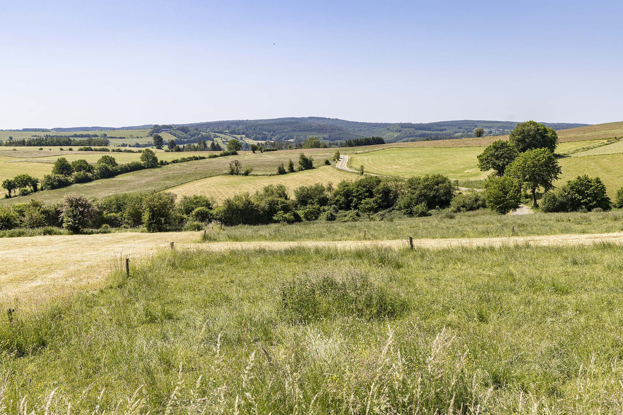 Platteland van Rendeux