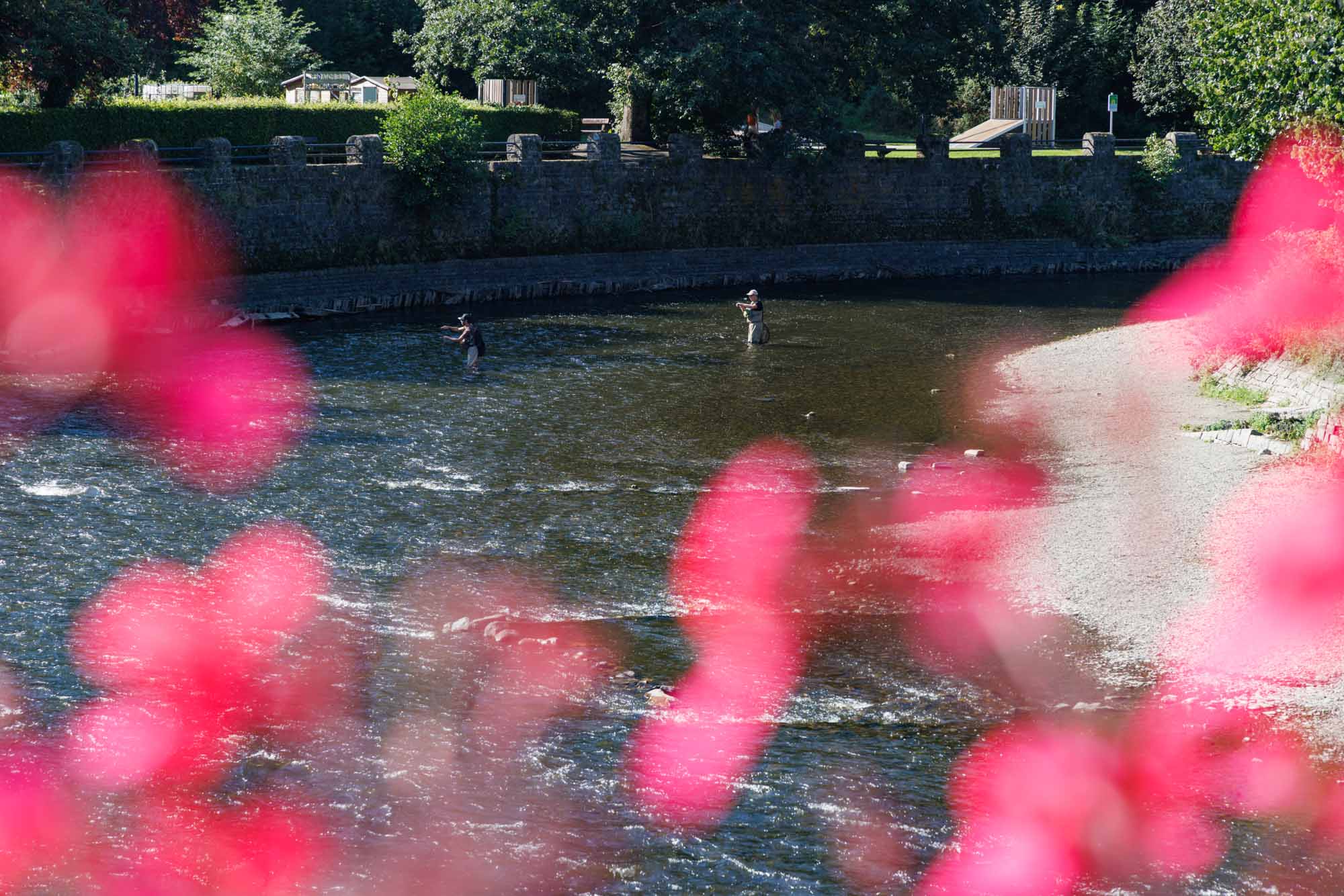 Vliegvissen op de Ourthe bij La Roche-en-Ardenne