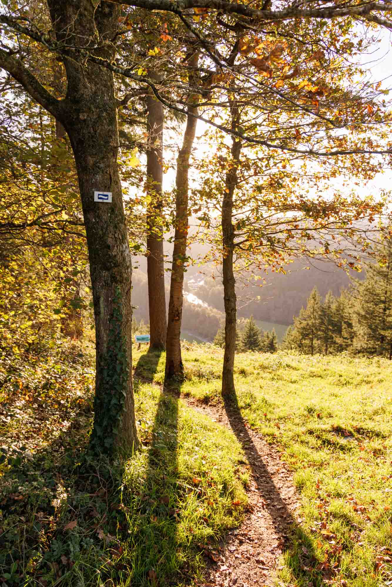 Wandelpad naar het uitkijkpunt Crestelles in Bérismenil