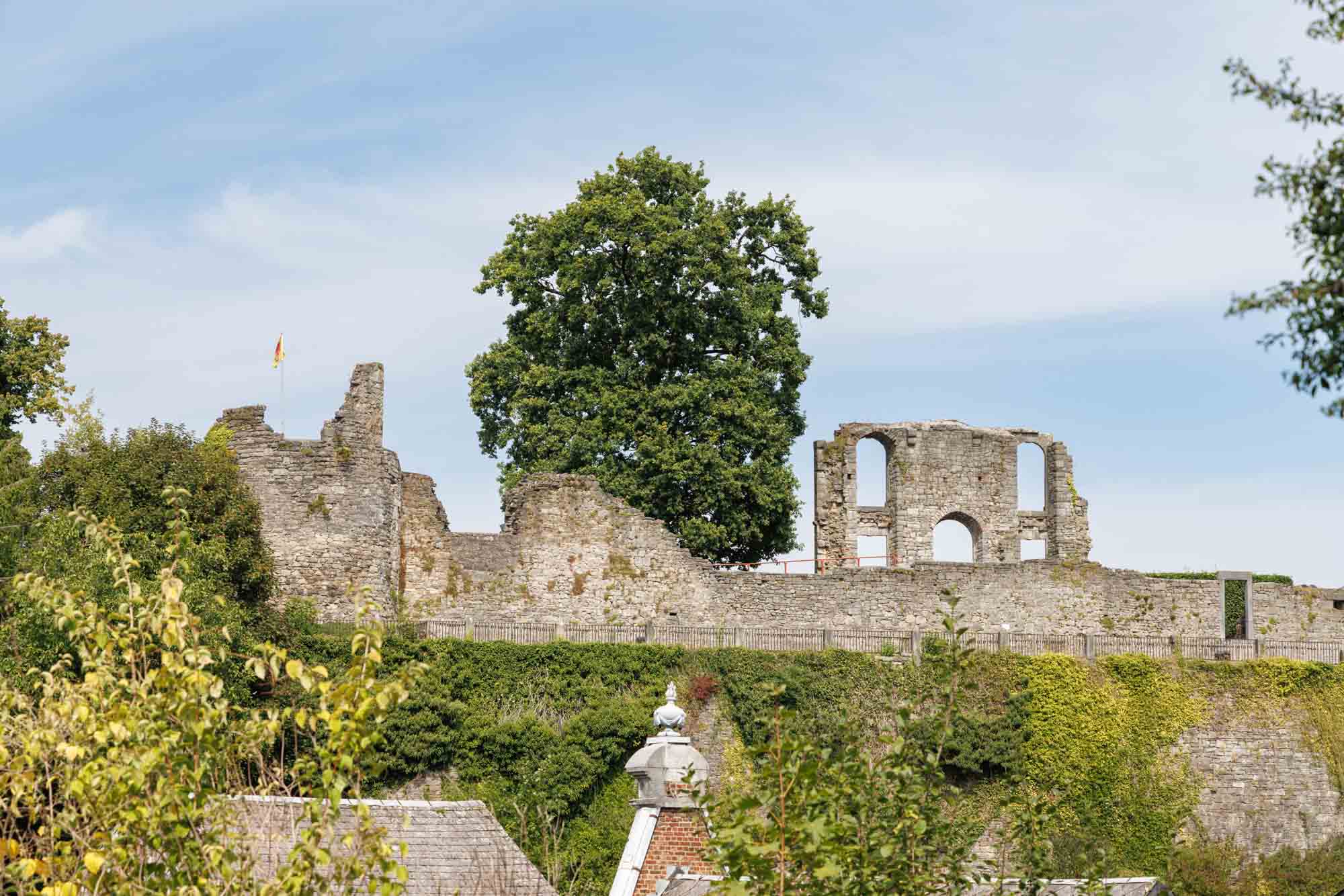 Kasteelruïnes van Rochefort op de hoogte, stenen overblijfselen omringd door groen