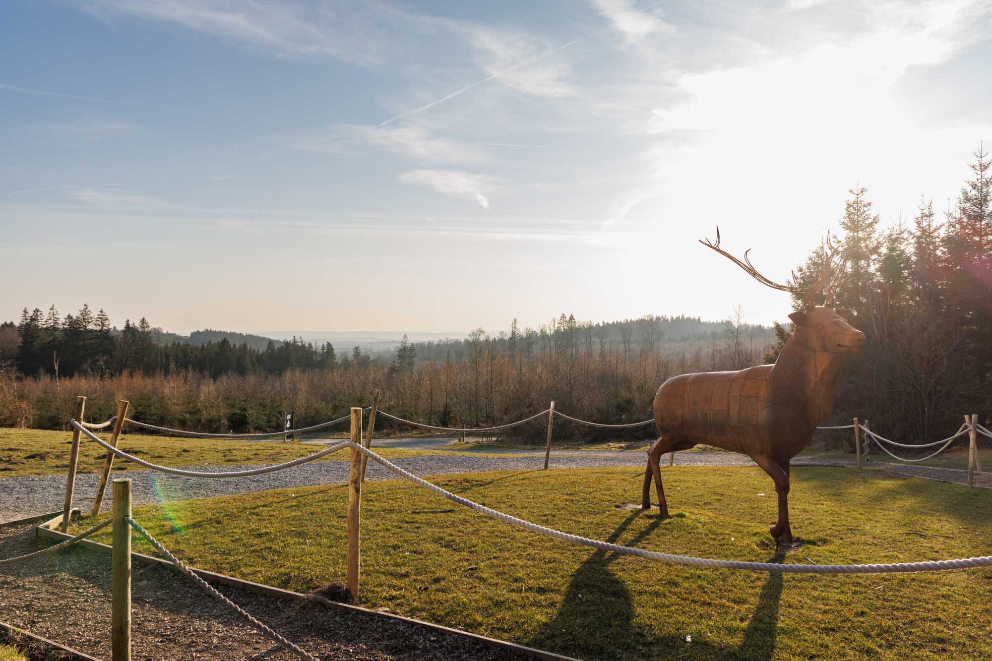 Decoratief hert aan de rand van de brouwerij Peak in Sourbrodt
