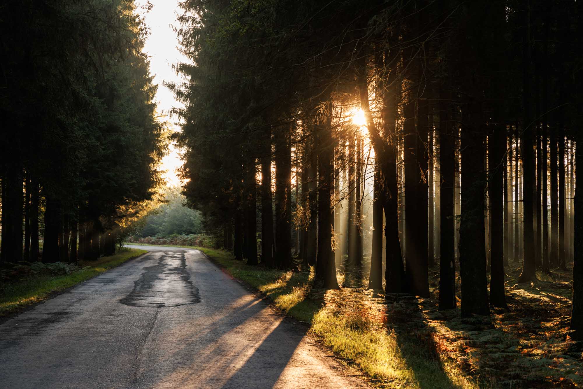Herfstochtendzon in Brume, boven het stadje Trois-Ponts