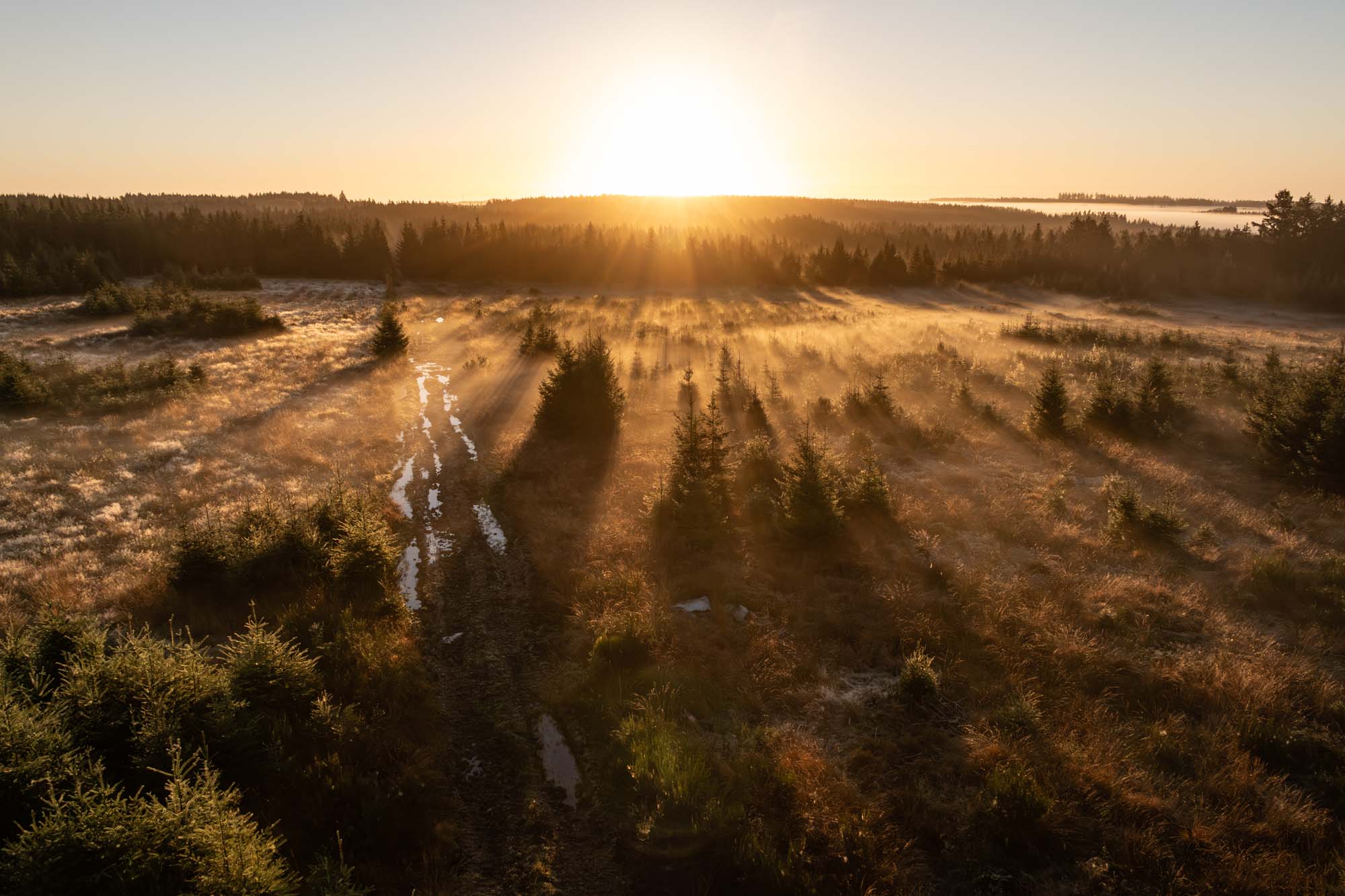 Zonsopgang boven de Baraque de Fraiture in de herfst
