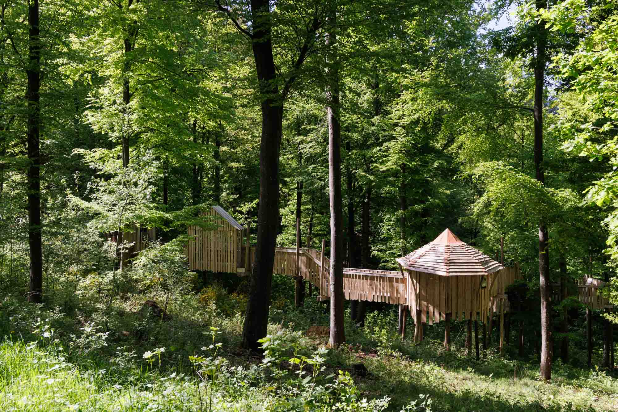 Bosparcours in Parc Chlorophylle met houten hutten en loopbruggen in de Ardennen.